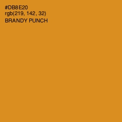 #DB8E20 - Brandy Punch Color Image